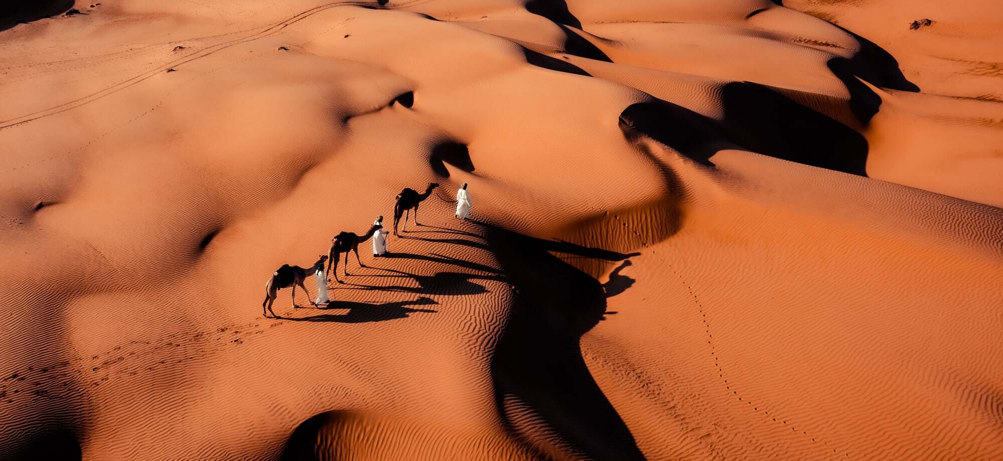 Explore the desert in Oman