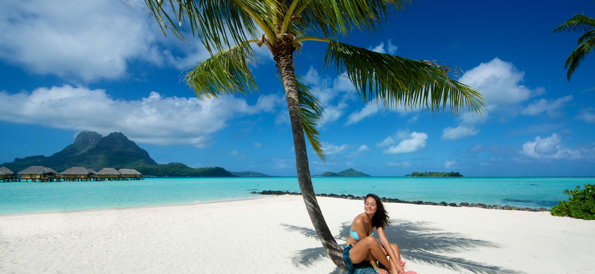 A woman is sitting on a palm tree on a white beach overlooking a turquoise ocean. 