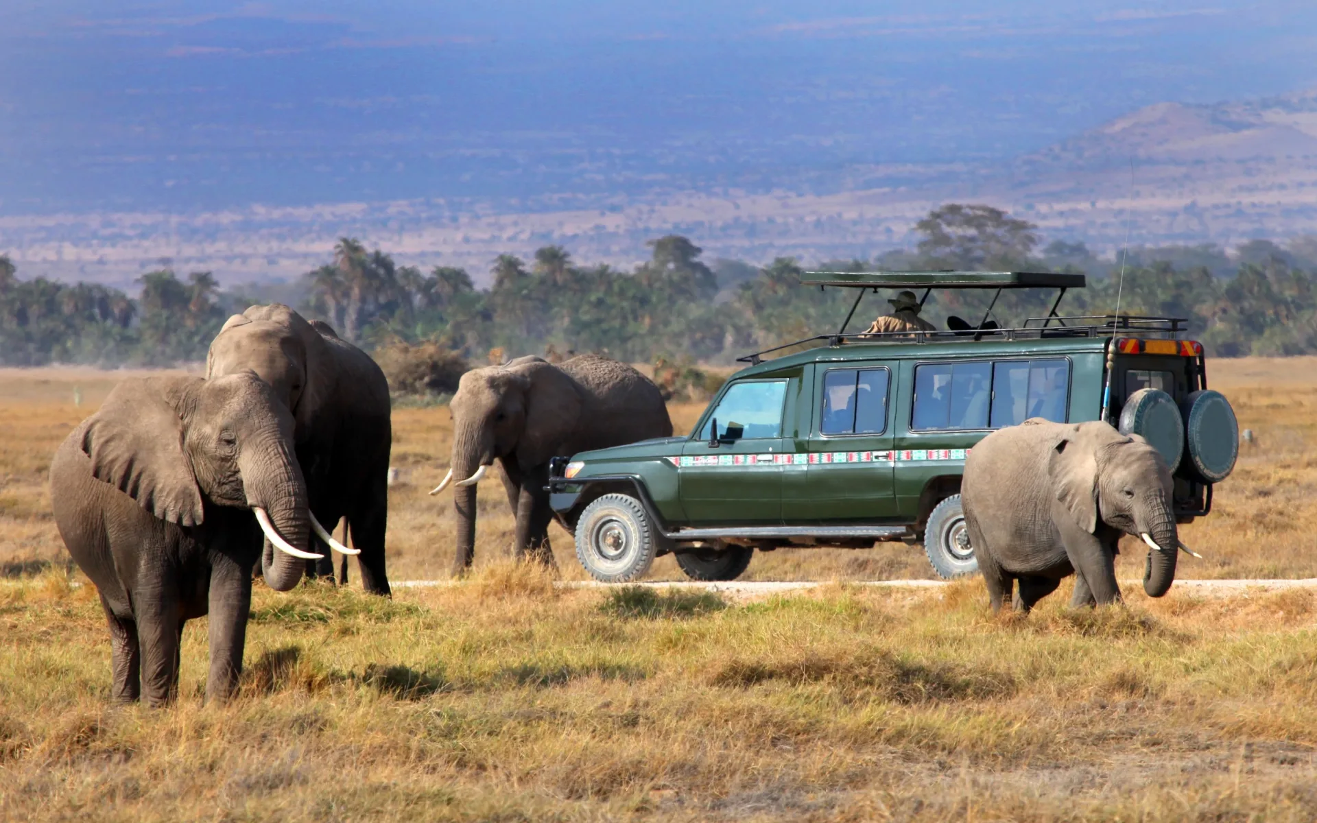 Best Time to Visit Kenya