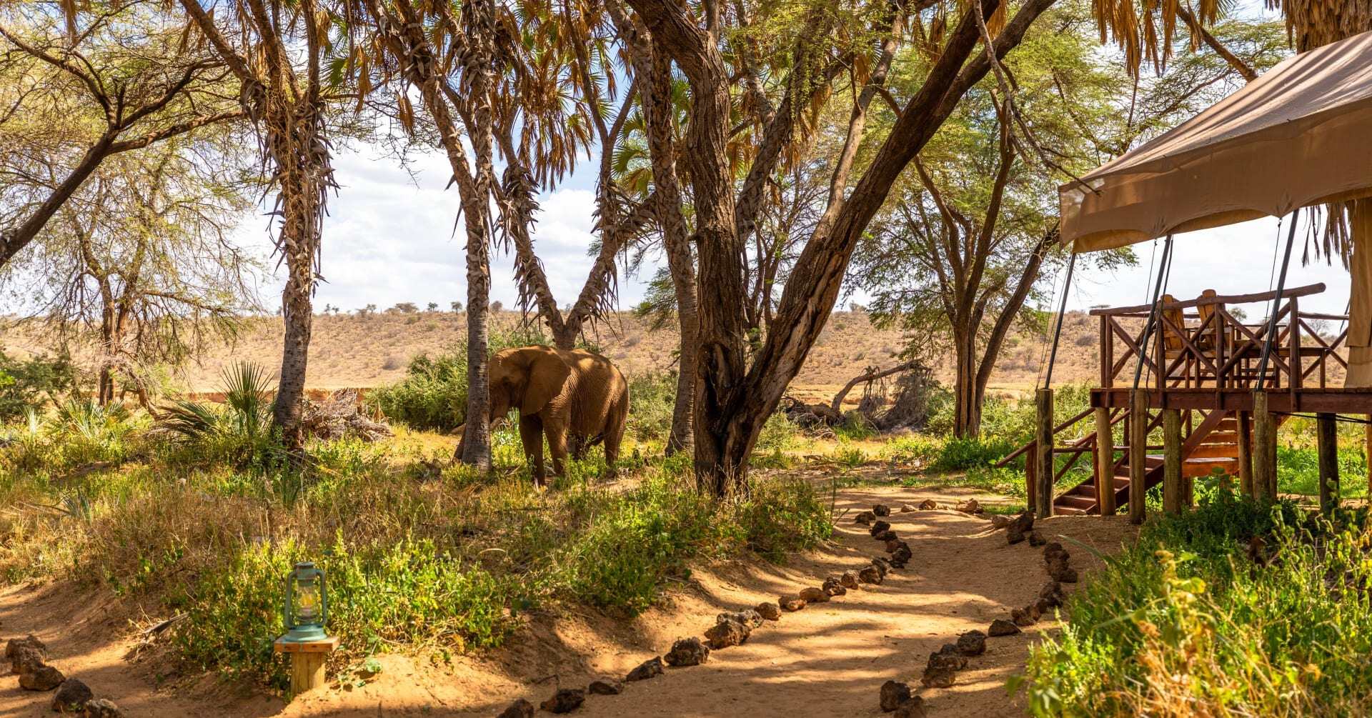 An elephant wanders the grounds of a hotel in Kenya.