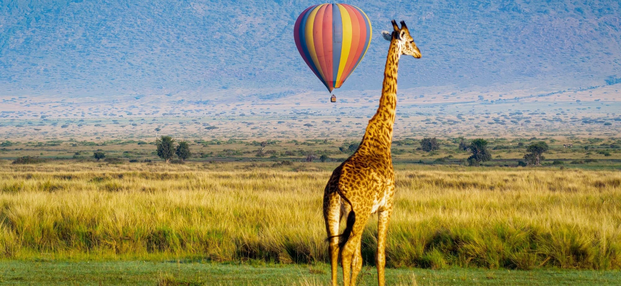 Masai_Mara_Kenya_giraffe_balloon_shutterstock_1826306561_uqnyfm-3